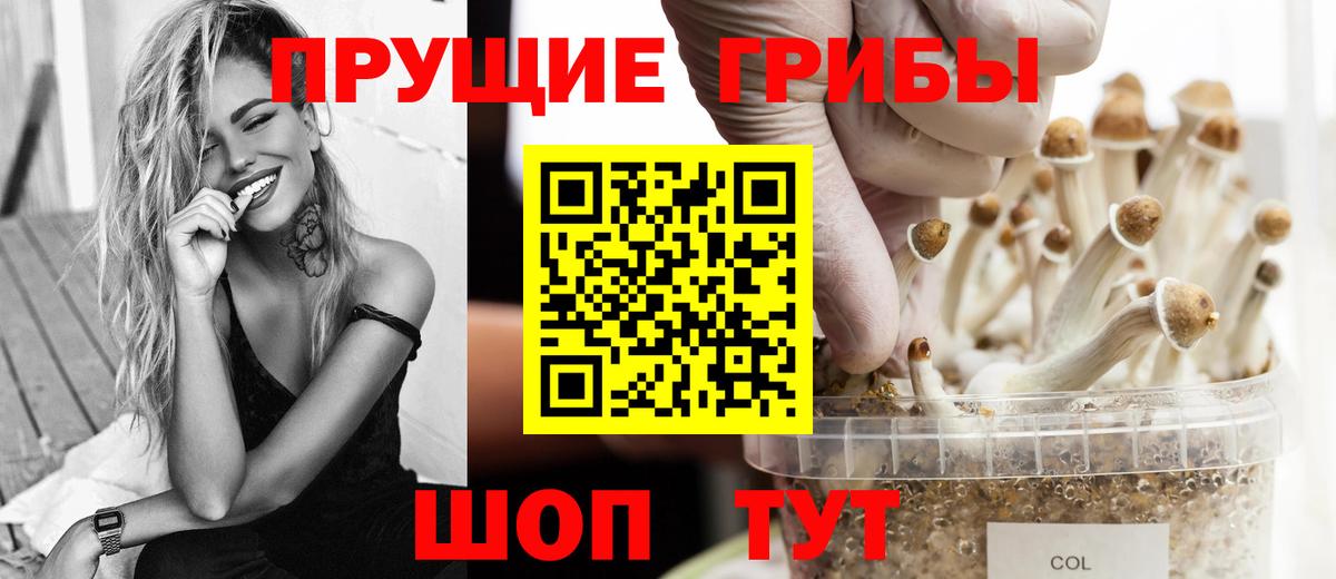 Псилоцибиновые грибы Cubensis  закладки  Гай  Вход с VPN 