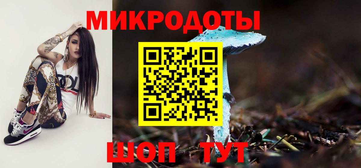 Псилоцибиновые грибы Cubensis Гай